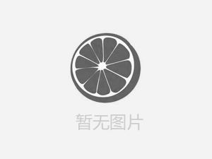 【人人講安全，個(gè)個(gè)會應(yīng)急——暢通生命通道 】河南鴻宸積極參加安陽市2024年“安全宣傳咨詢?nèi)铡被顒? style=
